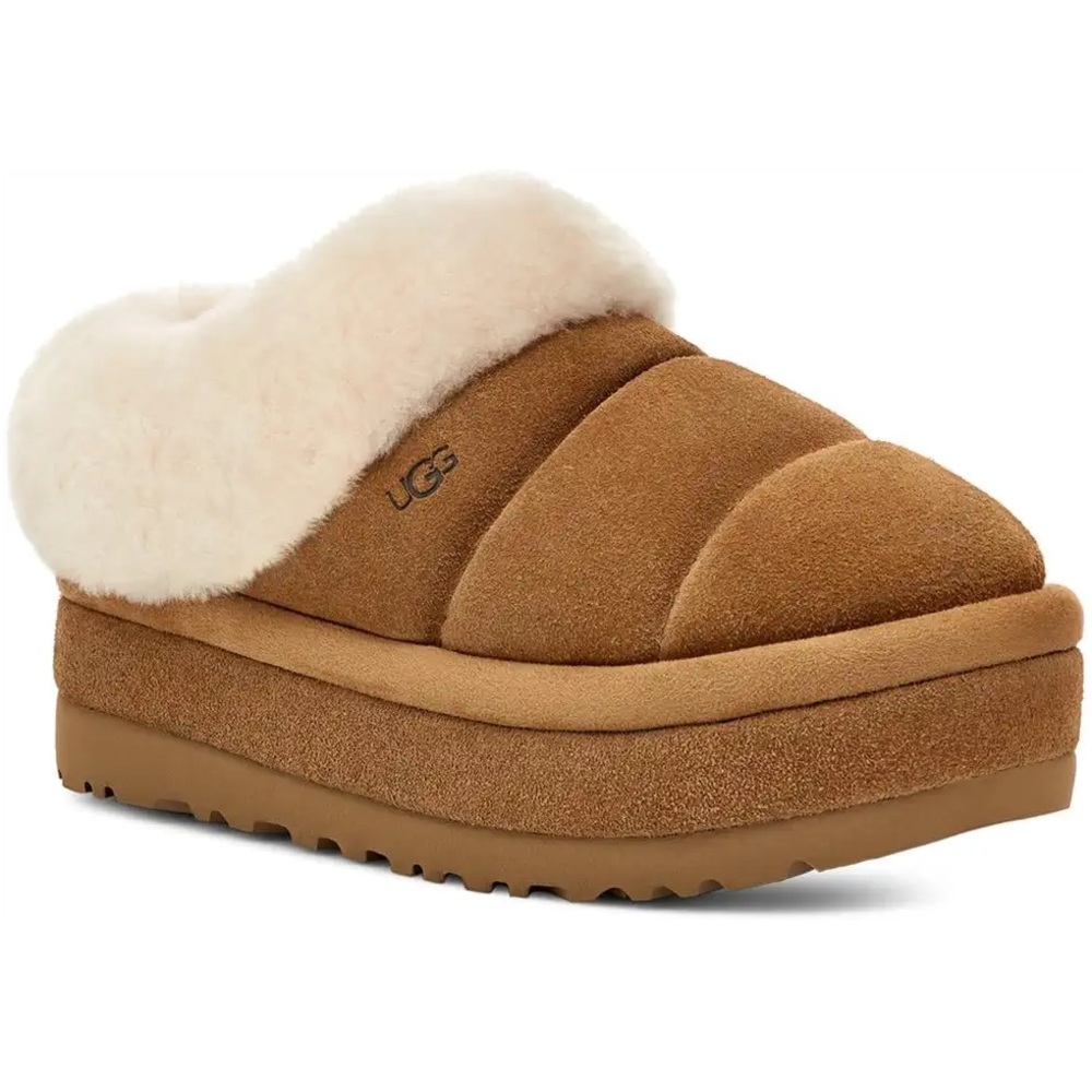 Tazzlita Uggs! Chestnut size 8! Brand new in box!